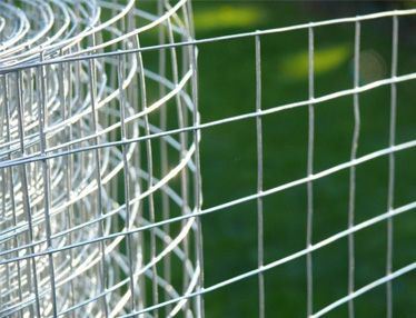 Galvanized Welded Wire